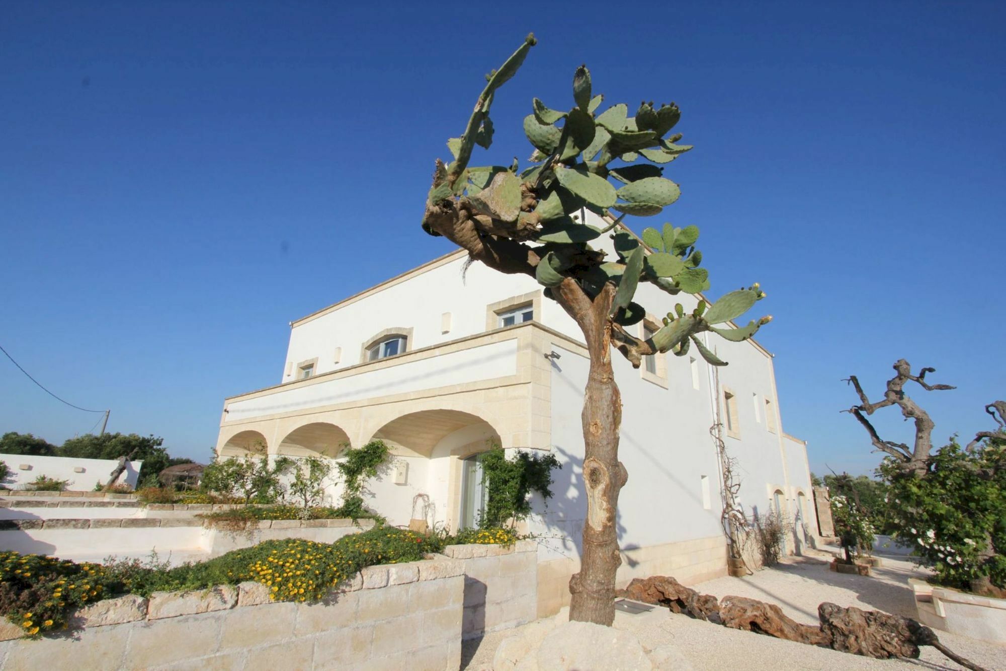 Savelletri Masseria Lama Di Coccaro מראה חיצוני תמונה